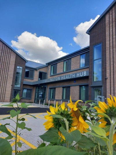 Lillington sunflowers 2.jpeg
